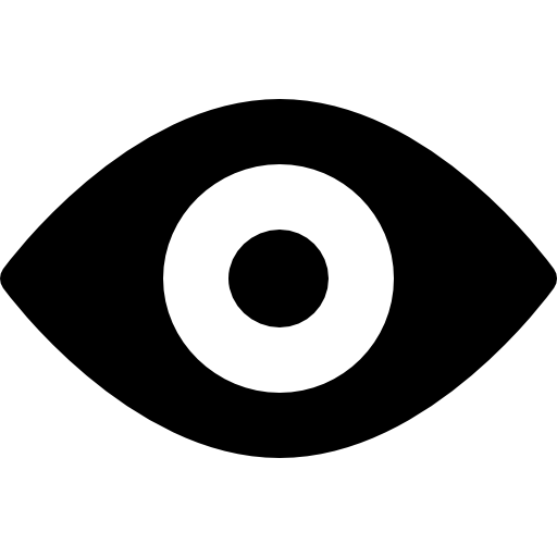 Vision Icon
